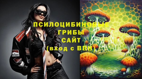 амфетамин Белокуриха