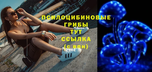 амфетамин Белокуриха