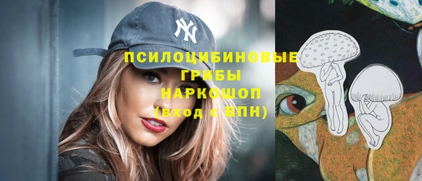 амфетамин Белокуриха