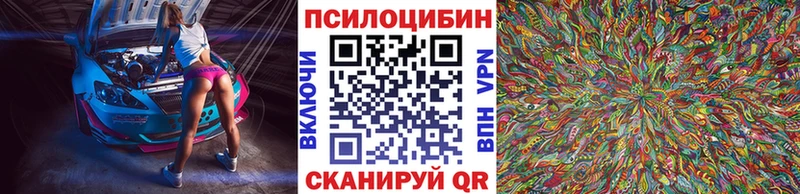 дарнет шоп  Юрьев-Польский  Псилоцибиновые грибы мухоморы 